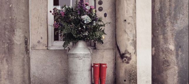 8b129fe2-df75-4b75-9662-cb1c6f1e12f6