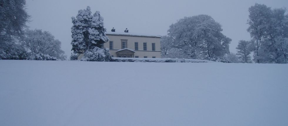 The house in winter