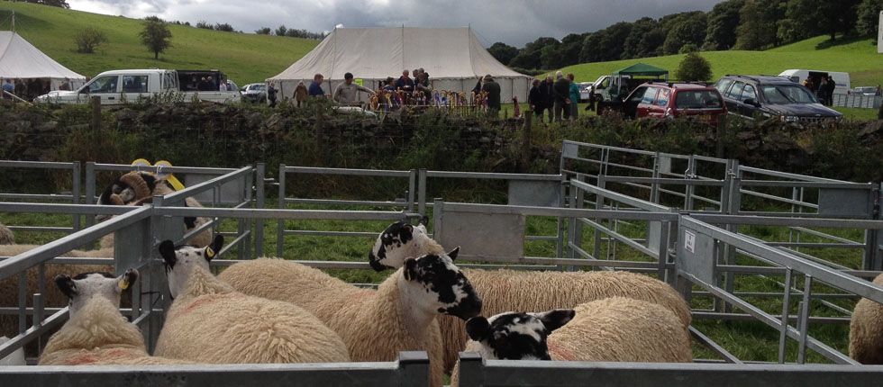 The Grayrigg show